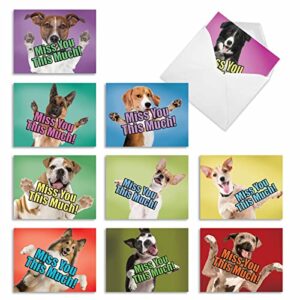 The Best Card Company - 10 Blank Assorted Notecards w/Envelopes (4 x 5.12 Inch) - Boxed Greetings with Dogs, Thinking of You Sentiments - Pet Puppies, Animal - Dog Miss You This Much M6600MYB