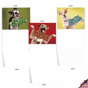 The Best Card Company - 10 Blank Assorted Notecards w/Envelopes (4 x 5.12 Inch) - Boxed Greetings with Dogs, Thinking of You Sentiments - Pet Puppies, Animal - Dog Miss You This Much M6600MYB