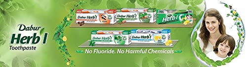 Dabur Toothpaste (Neem, 200 gm)