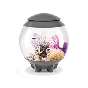 biOrb 46092.0 Sea Fan Small Pink Aquariums