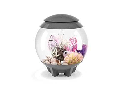 biOrb 46092.0 Sea Fan Small Pink Aquariums