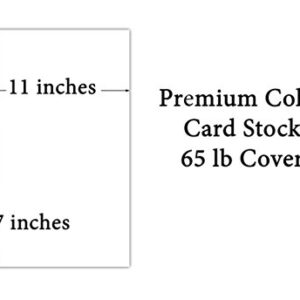 Eclipse Black Premium Color Card Stock Paper | 50 Per Pack | Superior Thick 65-lb Cardstock, Perfect for School Supplies, Holiday Crafting, Arts and Crafts | Acid & Lignin Free | 11 x 17