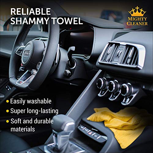 Premium Chamois Cloth for Car Drying - 26”x17” - Super Absorbent Reusable Shammy Towel for Car + Storage Tube - Scratch-Free Car Shammy Towel