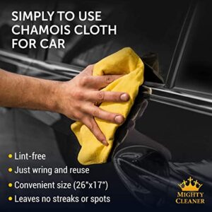 Premium Chamois Cloth for Car Drying - 26”x17” - Super Absorbent Reusable Shammy Towel for Car + Storage Tube - Scratch-Free Car Shammy Towel