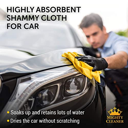 Premium Chamois Cloth for Car Drying - 26”x17” - Super Absorbent Reusable Shammy Towel for Car + Storage Tube - Scratch-Free Car Shammy Towel