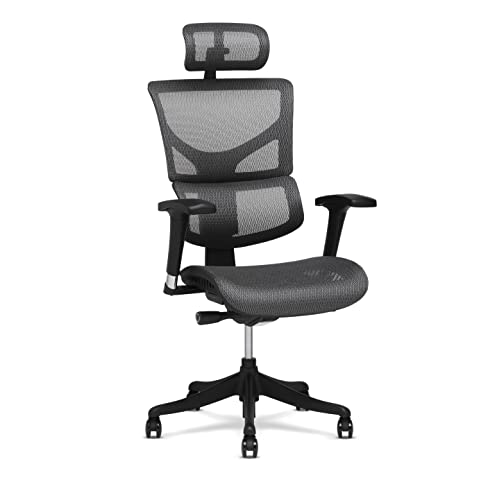 X-Chair X1 High End Task Chair, Grey Flex Mesh with Headrest - Ergonomic Office Seat/Dynamic Variable Lumbar Support/Highly Adjustable/Relaxed Recline/Perfect for Office or Home Desk