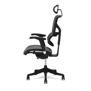 X-Chair X1 High End Task Chair, Grey Flex Mesh with Headrest - Ergonomic Office Seat/Dynamic Variable Lumbar Support/Highly Adjustable/Relaxed Recline/Perfect for Office or Home Desk