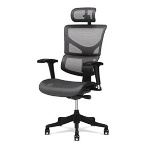 X-Chair X1 High End Task Chair, Grey Flex Mesh with Headrest - Ergonomic Office Seat/Dynamic Variable Lumbar Support/Highly Adjustable/Relaxed Recline/Perfect for Office or Home Desk