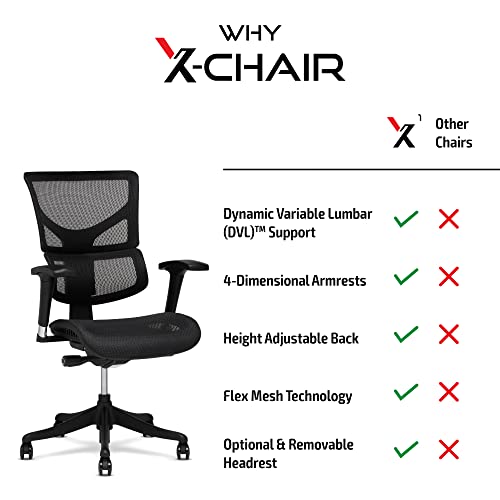 X-Chair X1 High End Task Chair, Grey Flex Mesh with Headrest - Ergonomic Office Seat/Dynamic Variable Lumbar Support/Highly Adjustable/Relaxed Recline/Perfect for Office or Home Desk