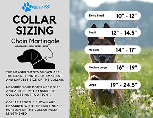 Max and Neo Stainless Steel Chain Martingale Collar - We Donate a Collar to a Dog Rescue for Every Collar Sold (Medium, Blue)