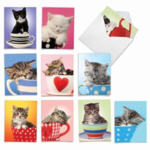 the best card company - 10 adorable blank cat cards (4 x 5.12 inch) - cute pet kittens, assorted bulk notecard set - cup-cats m3969