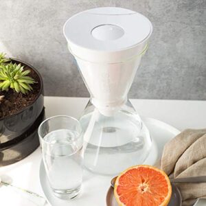 Soma 101-10-01 6-Cup Water Filter Glass Carafe