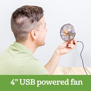 HOLMES 4" Mini Heritage Desk Fan, USB-Powered, Single Speed, 4 Blades, Adjustable 100° Head Tilt, Metal Construction, Ideal for Home, Dorm Rooms, Bedrooms, Office or Travel, Vintage Brushed Copper