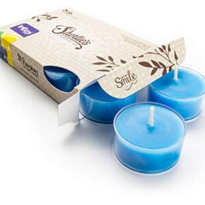 Lemon Blueberry Twist Premium Tealight Candles - Highly Scented with Essential & Natural Oils - 6 Blue Tea Lights - Beautiful Candlelight - Made in The USA - Fruit & Berry Collection