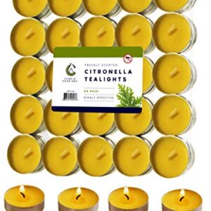 50 Citronella Oil Scented Tea Light Candles Indoor/Outdoor Up to 4 Hours Burn Time - 50 Pack