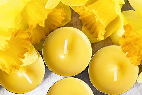 50 Citronella Oil Scented Tea Light Candles Indoor/Outdoor Up to 4 Hours Burn Time - 50 Pack