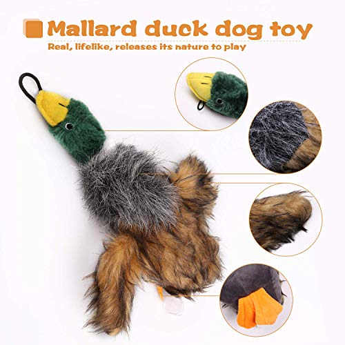 wangstar Pet Mallard Duck Dog Toy, Squeaky Dog Toy, Plush Puppy Dog Chew Toy for Small Medium Dogs, 9 Inch Wild Duck