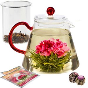 teabloom amore glass teapot – stovetop safe glass teapot with removable glass infuser (34 oz) – two blooming tea flowers included