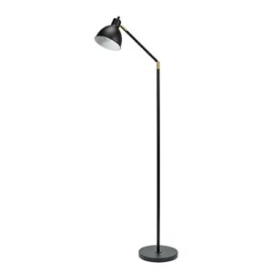 catalina 20093-001 modern adjustable metal floor lamp with brass accents, 54.5", classic black
