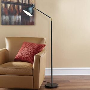 Catalina 20093-001 Modern Adjustable Metal Floor Lamp with Brass Accents, 54.5", Classic Black