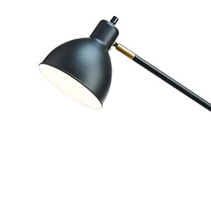 Catalina 20093-001 Modern Adjustable Metal Floor Lamp with Brass Accents, 54.5", Classic Black