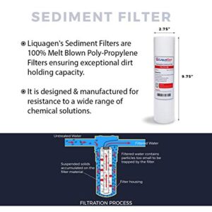 LiquaGen - 5 Stage Reverse Osmosis Deionization (RODI) Yearly Replacement Filter Kit- Stage 1, 2, 3 & 5 | Water Purifier Filter Set for Aquarium Reef, Fish tank's, Gardening & More | 0 TDS/PPM Water