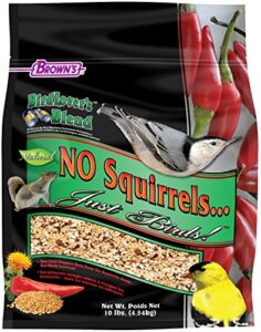 f.m.brown's bird lover's blend no squirrels…just birds! food, 10 lb