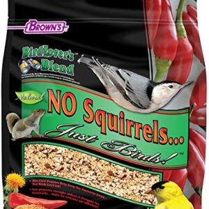 F.M.Brown'S Bird Lover'S Blend No Squirrels…Just Birds! Food, 10 Lb