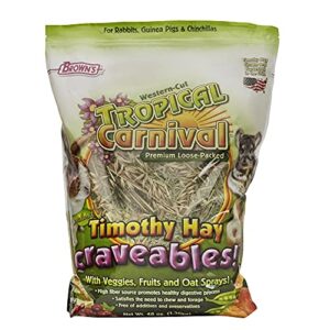 f.m. brown's tropical carnival natural timothy hay craveables with veggies, fruits, and oat sprays, foraging treat with high fiber for healthy digestion - 48 oz