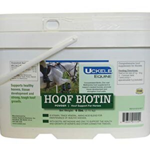 Uckele Hoof Biotin - Hoof Support for Horses - 6 pound (lb)