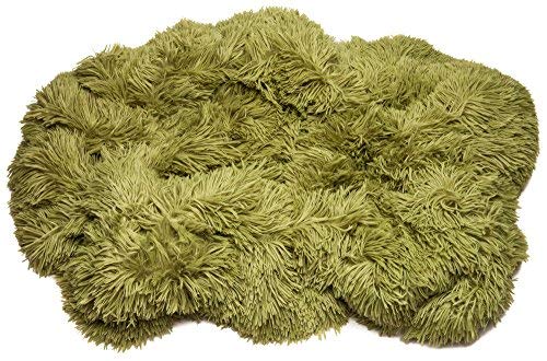 Chanasya Solid Faux Long Fur Throw Blanket - Soft, Fuzzy Throw Blanket - for Bed or Couch - 50" x 65” - Olive Green
