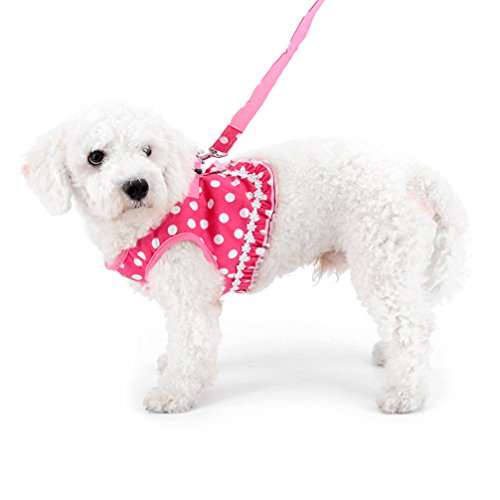 SELMAI Brother cat Dog Small Dog Harness Pink Leash Set Ladies Polka Dot Vest Mesh Padded Lead for Pet Cat Puppy Girls S