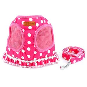 SELMAI Brother cat Dog Small Dog Harness Pink Leash Set Ladies Polka Dot Vest Mesh Padded Lead for Pet Cat Puppy Girls S