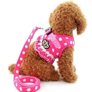 SELMAI Brother cat Dog Small Dog Harness Pink Leash Set Ladies Polka Dot Vest Mesh Padded Lead for Pet Cat Puppy Girls S