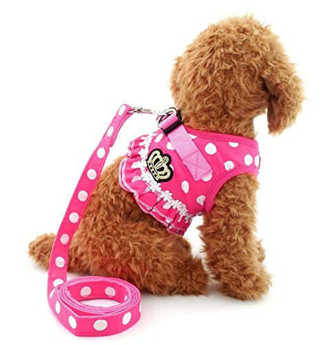 SELMAI Brother cat Dog Small Dog Harness Pink Leash Set Ladies Polka Dot Vest Mesh Padded Lead for Pet Cat Puppy Girls S