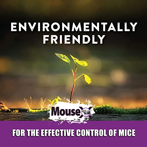 EcoClear Products 620200-6D MouseX All-Natural Poison Free Humane for Rats and Mice, 8 oz. Bag