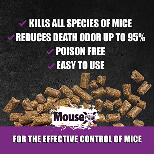 MouseX Bait Pellets, All-Natural Poison Free Humane Rat and Mouse Rodenticide Pellets, 1 lb. Bag - EcoClear Products