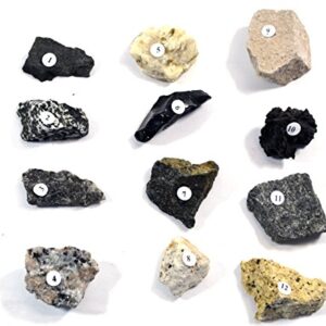 Eisco Igneous Rocks Kit - Contains 12 specimens Measuring Approx. 1" (3cm)