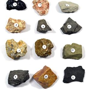 Eisco Sedimentary Rocks Kit - Contains 12 specimens Measuring Approx. 1" (3cm)