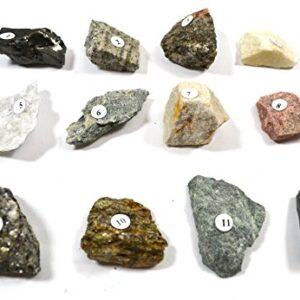 Eisco Metamorphic Rocks Kit - Contains 12 specimens Measuring Approx. 1" (3cm)