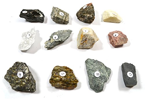 Eisco Metamorphic Rocks Kit - Contains 12 specimens Measuring Approx. 1" (3cm)