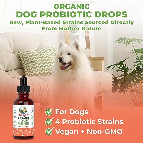 Dog Probiotic | USDA Organic Probiotic Dog | Probiotic for Dogs | Dog Probiotic for Digestive Support | Supplement for Gut Health & Beneficial Bacteria | Vegan | Non-GMO | Gluten Free | 4 Fl Oz