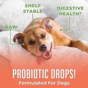 Dog Probiotic | USDA Organic Probiotic Dog | Probiotic for Dogs | Dog Probiotic for Digestive Support | Supplement for Gut Health & Beneficial Bacteria | Vegan | Non-GMO | Gluten Free | 4 Fl Oz