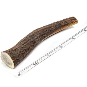devil dog pet co antler dog chew - premium elk antlers for dogs - long lasting dog bones for aggressive chewers - no mess no odor - wild shed in the usa - veteran owned (medium)