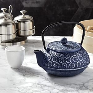 Blue Cast Iron Chinese Teapot with Infuser for Loose Leaf Tea, Includes Handle and Removable Lid (34oz)