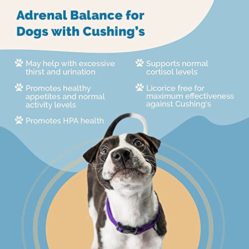 Adrenal Balance for Dogs with Cushing’s | Naturally Relieves Symptoms of Cushing's Disease in Dogs | Licorice Free Herbal Formula for Dogs with Cushing’s Disease | by Prana Pets