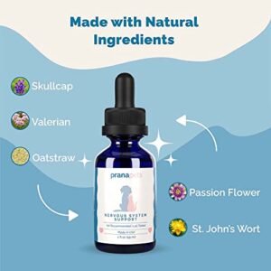 Nervous System Support for Dogs and Cats (Formerly S-Support) Naturally Relieves Seizures in Dogs and Cats | Herbal Formula Safely Aids in Reducing Anxiety, Seizures, and Helps Support Nervous System