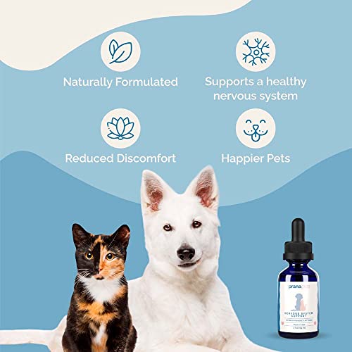 Nervous System Support for Dogs and Cats (Formerly S-Support) Naturally Relieves Seizures in Dogs and Cats | Herbal Formula Safely Aids in Reducing Anxiety, Seizures, and Helps Support Nervous System