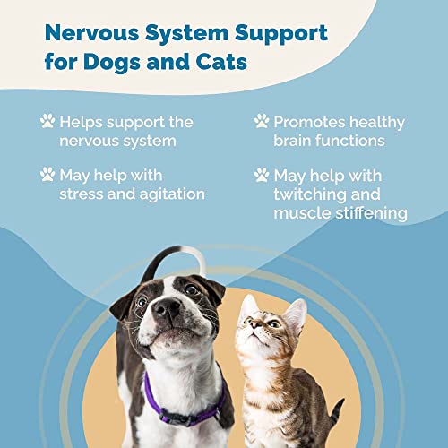 Nervous System Support for Dogs and Cats (Formerly S-Support) Naturally Relieves Seizures in Dogs and Cats | Herbal Formula Safely Aids in Reducing Anxiety, Seizures, and Helps Support Nervous System