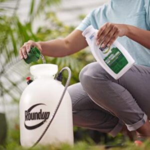 Roundup 5008410 Lawns 5 Concentrate, 32oz